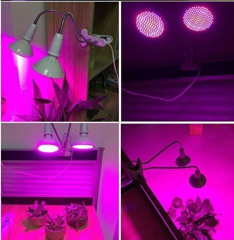 luz artificial para plantas